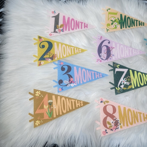 2/$20 Little Artist Milestone Pennants - Picture 15 of 15